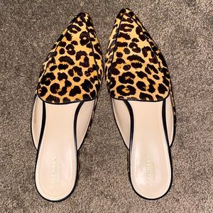 Cole Haan mule